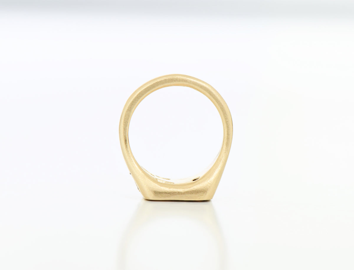 BROWN SEGMENT RING