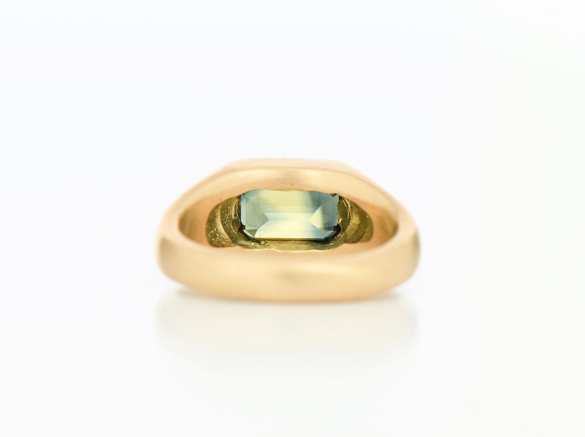 PARTI CUSHION RING