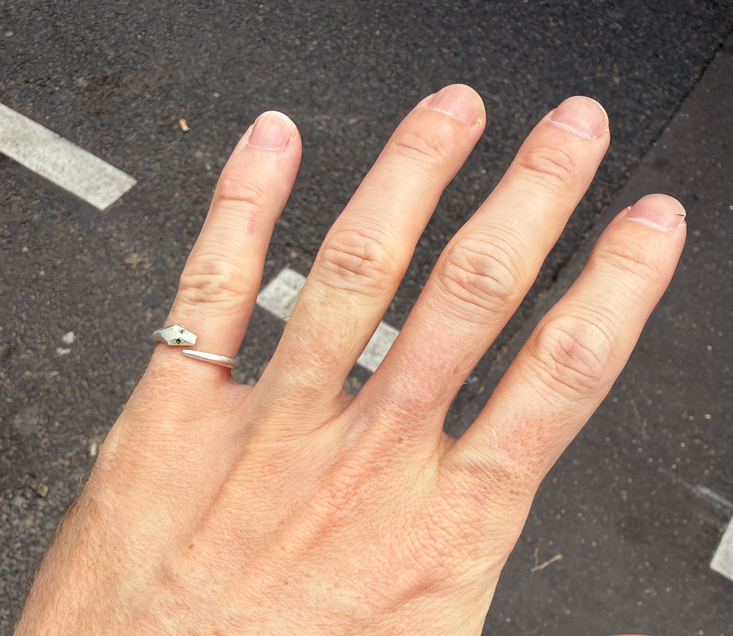 Serpent Ring Silver