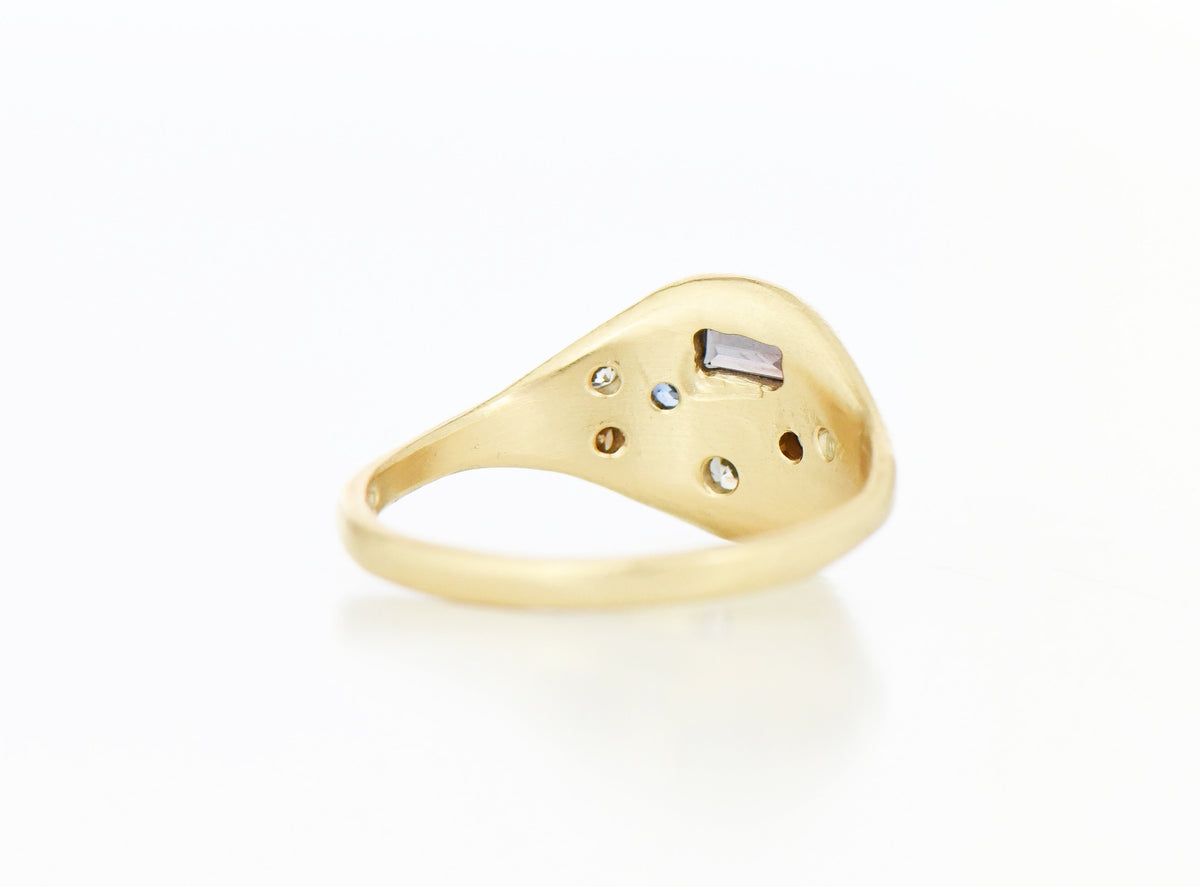 SWAMP NEAPOLITAN RING