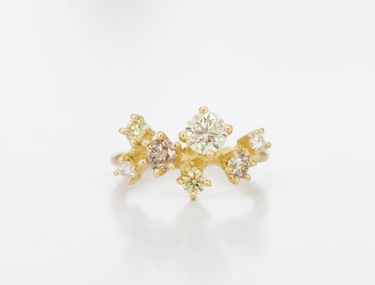 BROWN CLUSTER RING 2