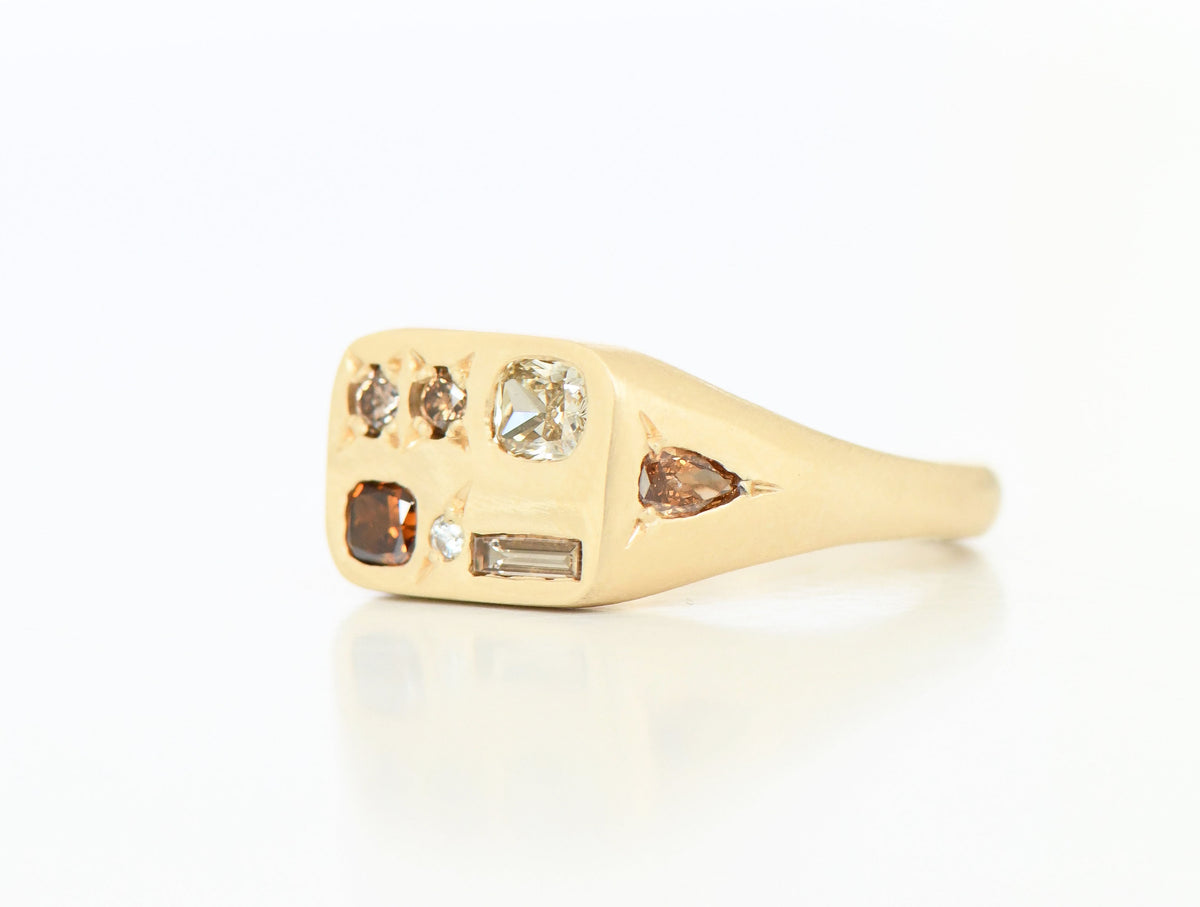 BROWN SEGMENT RING