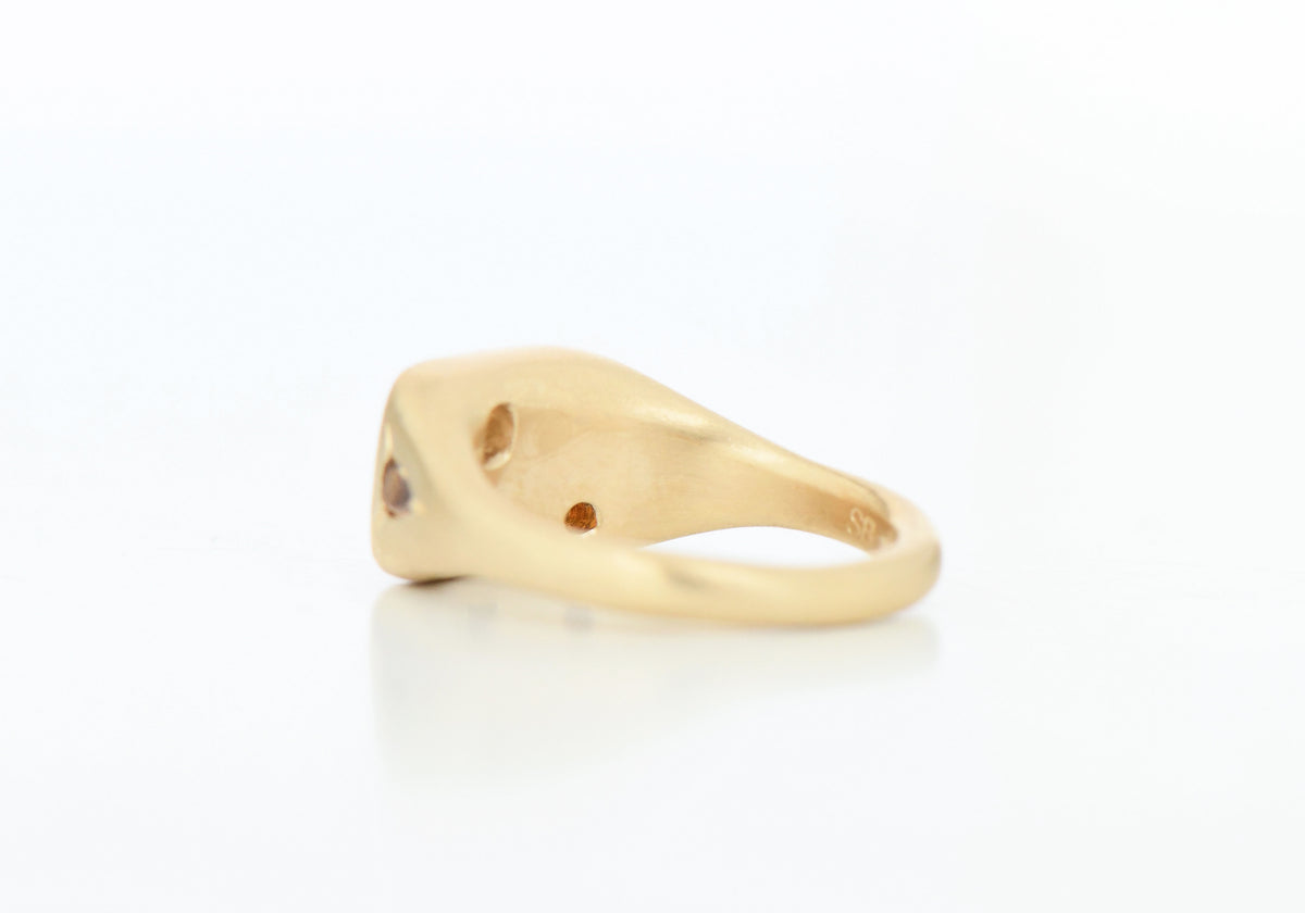 BROWN SEGMENT RING