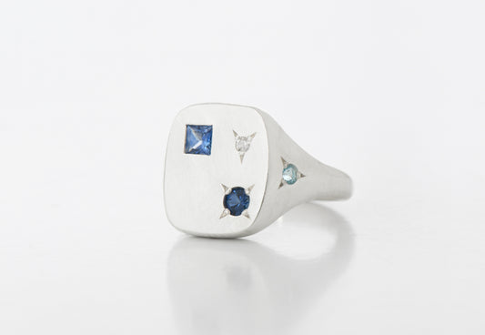 PARIS RING 2.0 SILVER