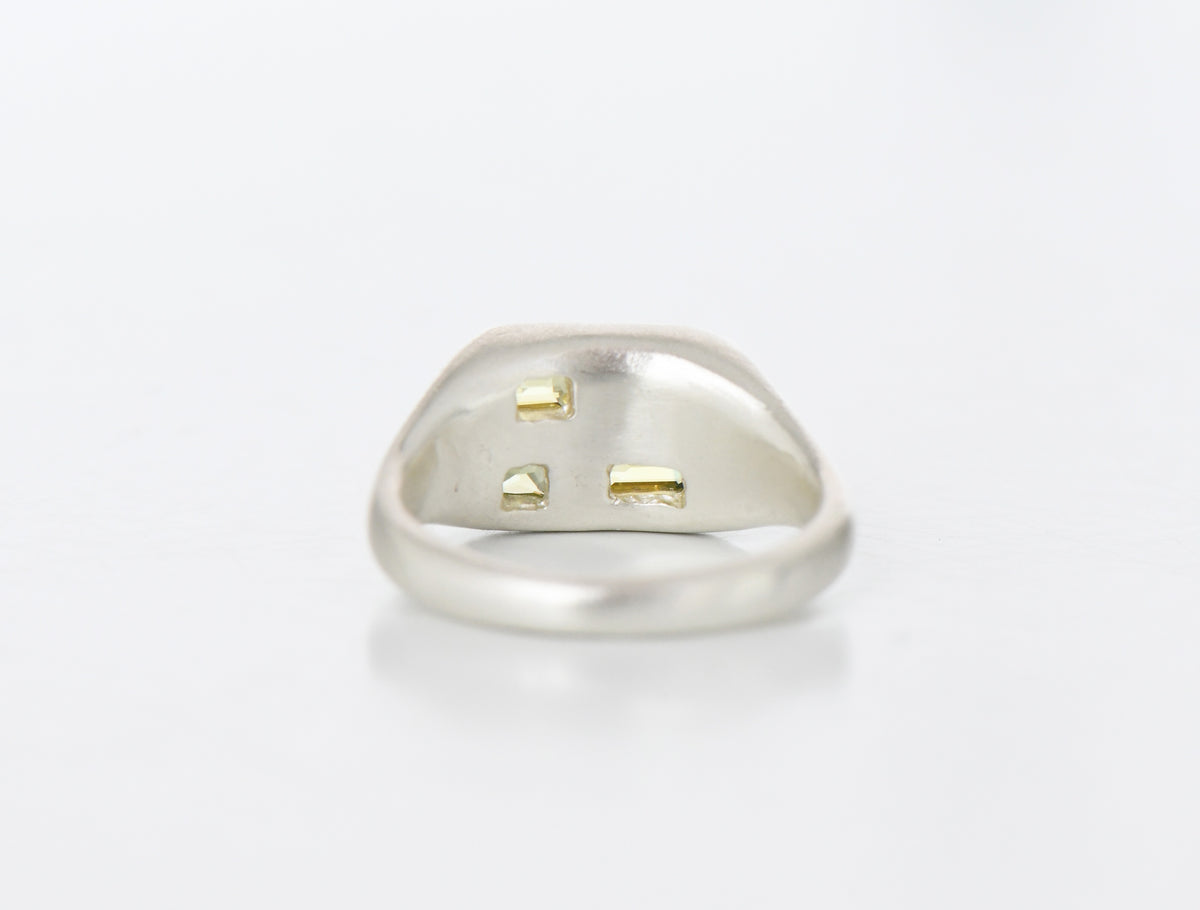 Sepp Ring PARTI SEGMENT RING – Seb Brown