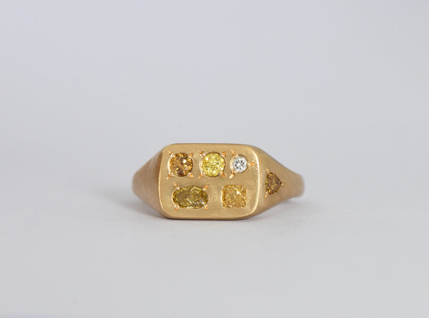 Segment Ring